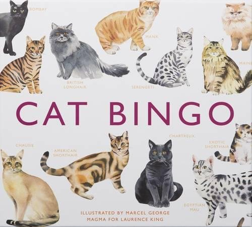 Bingo des chats